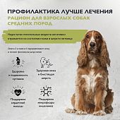 Сухой Корм Brit Care Dog Adult Healthy Skin&Shiny Coat для собак средних пород с лососем и индейкой для здоровой кожи и шерсти