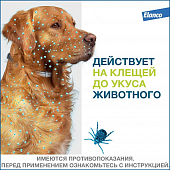 Водостойкий ошейник Форесто для собак от 8 кг от клещей, блох и вшей