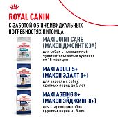 Сухой Корм сухой Royal Canin Maxi Adult для взрослых собак крупных размеров