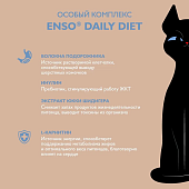 Паучи Enso Daily Diet для взрослых кошек для кожи и шерсти кусочки в соусе с форелью