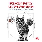 Royal Canin GASTROINTESTINAL (ГАСТРОИНТЕСТИНАЛ) диетический для взрослых кошек при расстройствах пищеварения