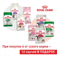 Подарок при покупке сухого корма Royal Canin для собак и кошек!