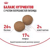 Сухой Корм сухой Royal Canin Maxi Adult для взрослых собак крупных размеров