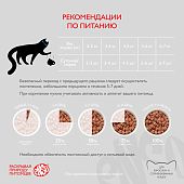 Паучи Enso полнорационный корм для взрослых кошек кусочки в соусе с индейкой