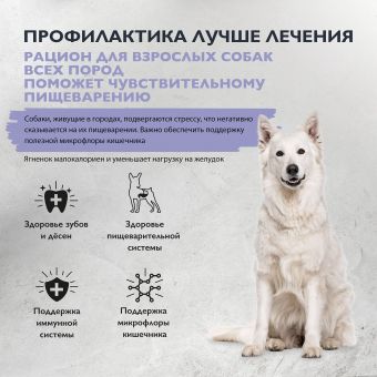 Корм Brit Care Dog Adult Sensitive Healthy Digestion для взрослых собак всех пород с индейкой и ягнёнком