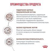 Royal Canin GASTROINTESTINAL (ГАСТРОИНТЕСТИНАЛ) диетический для взрослых кошек при расстройствах пищеварения