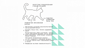 Сухой Корм AJO Cat Sterile Weight Control для стерилизованных кошек контроль веса