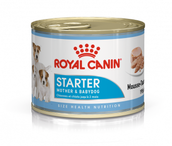 Консервы Royal Canin Starter Mousse для щенков до 2 месяцев и кормящих собак всех пород