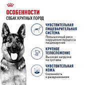 Сухой Корм сухой Royal Canin Maxi Adult для взрослых собак крупных размеров