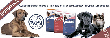 ProLife - Суперпремиум корма для собак и кошек 