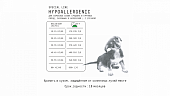 Корм AJO Dog Hypoallergenic с гречкой для взрослых собак средних и крупных пород,...