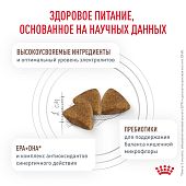 Royal Canin GASTROINTESTINAL (ГАСТРОИНТЕСТИНАЛ) диетический для взрослых кошек при расстройствах пищеварения