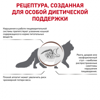 Royal Canin Gastrointestinal корм сухой диетический для взрослых кошек при расстройствах пищеварения