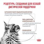 Royal Canin GASTROINTESTINAL (ГАСТРОИНТЕСТИНАЛ) диетический для взрослых кошек при расстройствах пищеварения