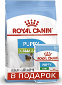 Сухой Корм Royal Canin X-Small Puppy для щенков миниатюрных размеров + 2 пауча Mini Puppy ПРОМОПАК