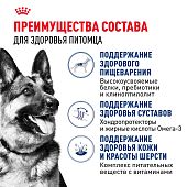 Сухой Корм сухой Royal Canin Maxi Adult для взрослых собак крупных размеров