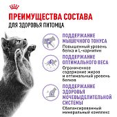 Сухой Корм для кошек Royal Canin Sterilised 37 сухой сбалансированный для стерилизованных...